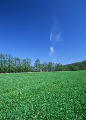 静岡市駿河区にある富士葬祭 中村町の家族葬・葬儀場 | 24時間対応の安心の葬儀サポート
