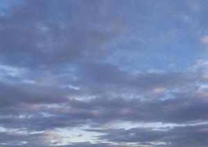 403 Forbiddenエラーの原因と解決策：ウェブサイト運営者必見のガイド